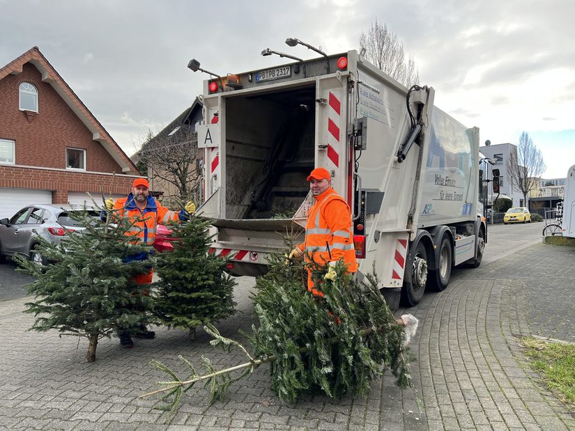 ASP Weihnachtsbaumabholung