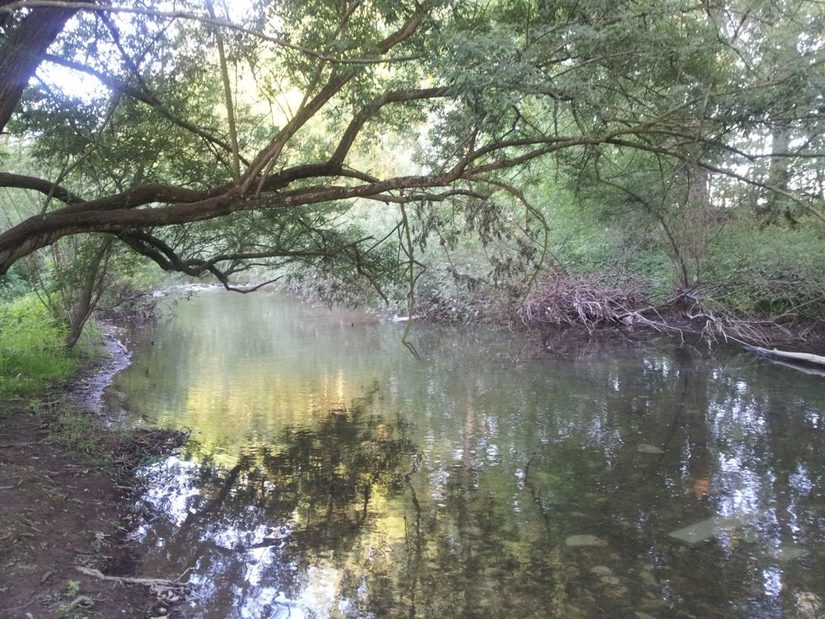 Alme am Almepark in Paderborn