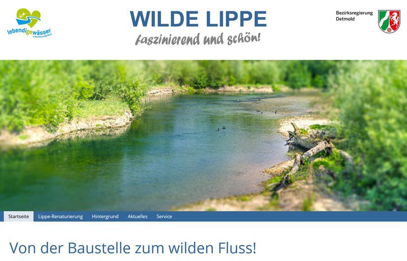 Wilde Lippe - Website