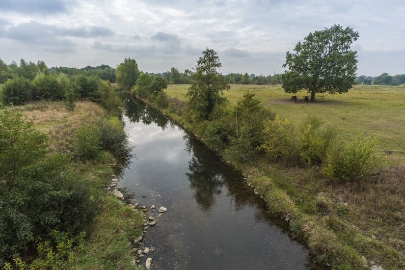 Lippe unterhalb des Lippesees