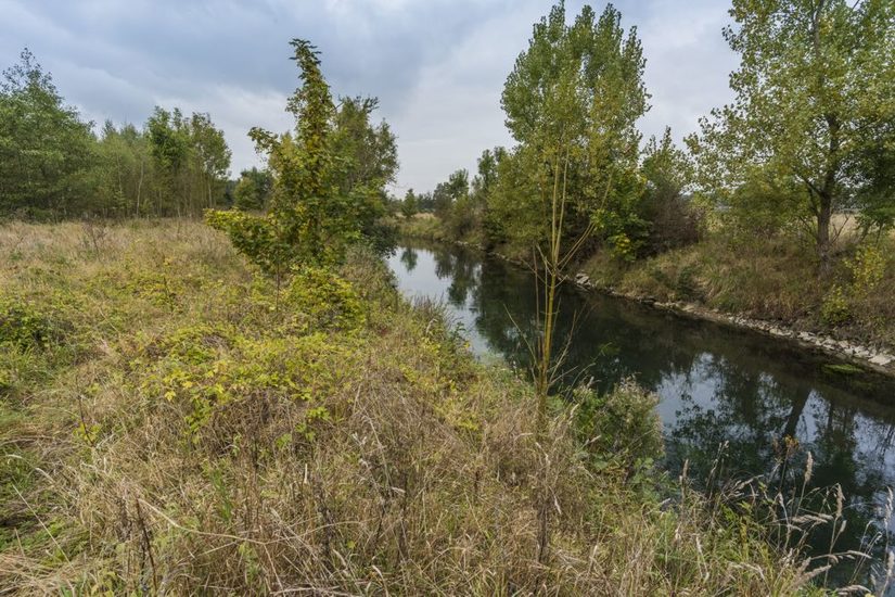 begradigte Lippe unterhalb des Lippesees