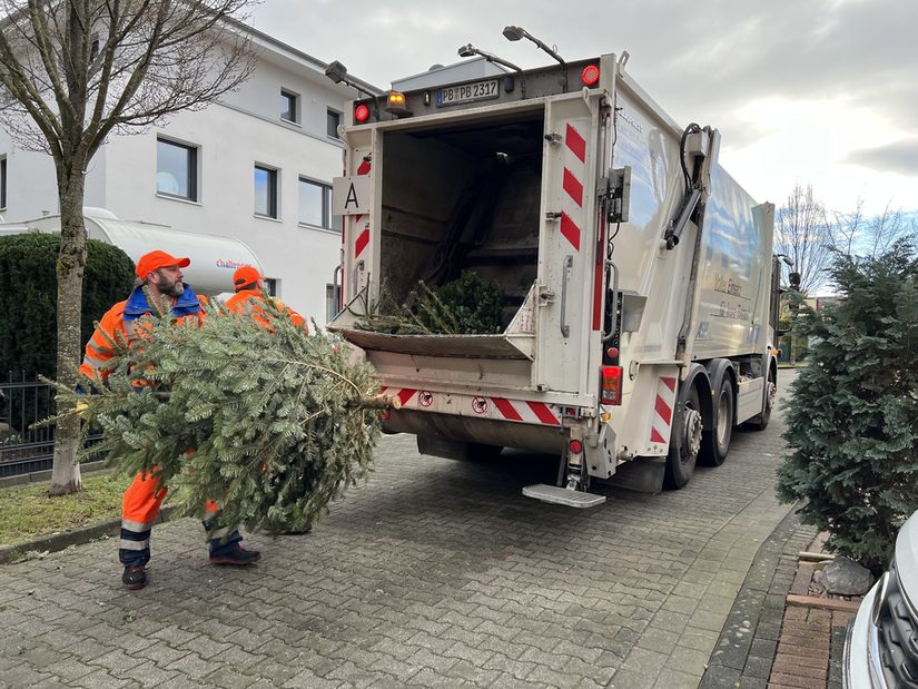 Die Müllwerker*innen des ASP laden jeden Baum einzeln ins Fahrzeug