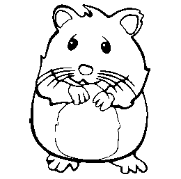 Hamsterklasse