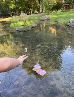 Experimentfotos zum Thema "Flöße schwimmen tatsächlich"