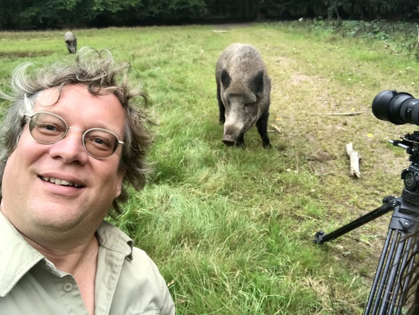 Besuch am Set: Robin Jähne begegnete bei seinen Dreharbeiten zum Sturm auch Wildschweinen - sie gehen wie er gern raus, wenn es stürmt und regnet.