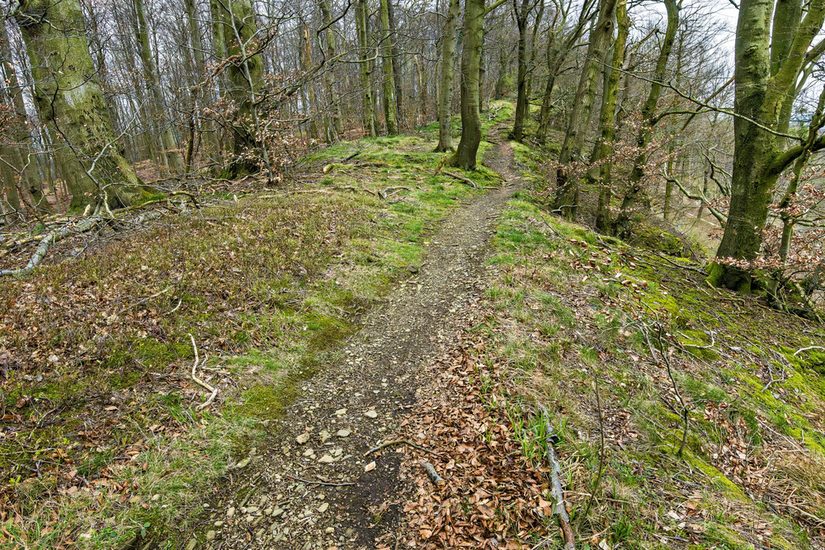 Naturnaher Wanderweg