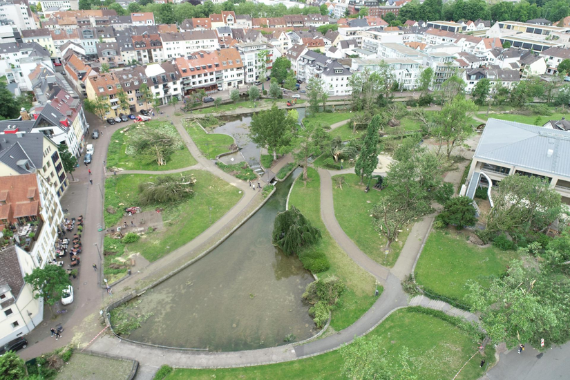 Paderquellgebiet nach dem Tornado 2022