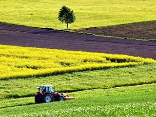 Trecker auf Feld