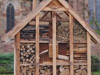 Bee Hotel