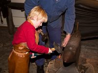 Historisches Museum des Hochstifts Paderborn