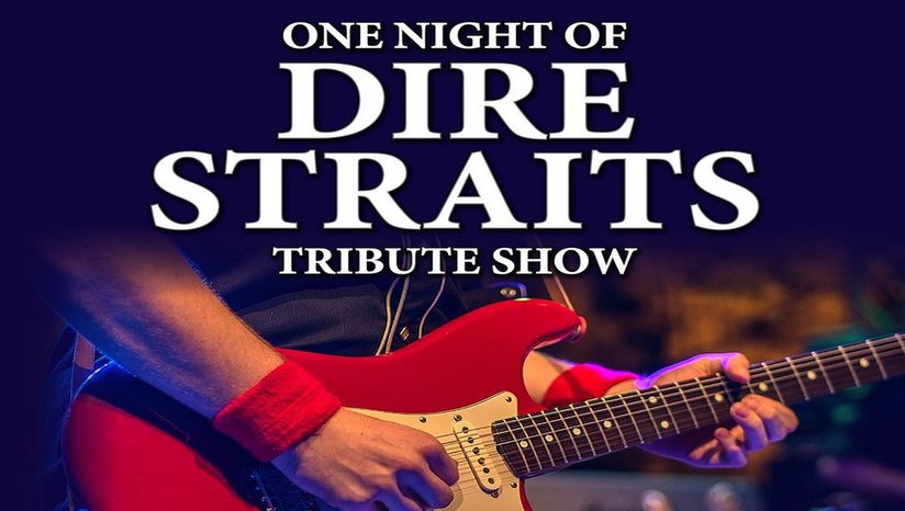 One Night of Dire Straits - Tribute Show