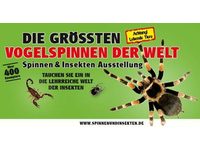 Spinnen & Insekten Ausstellung