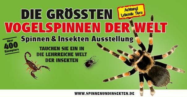 Spinnen & Insekten Ausstellung