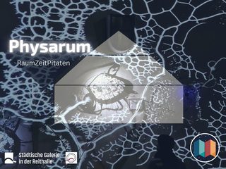 Digitaler Pilz Physarum an Fassadenwand